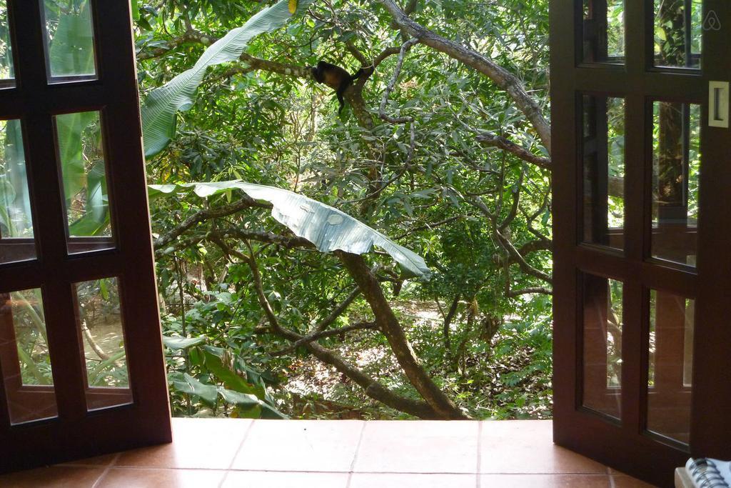 Luz En El Cielo Eco-B&B/Hostel Montezuma Rum bild