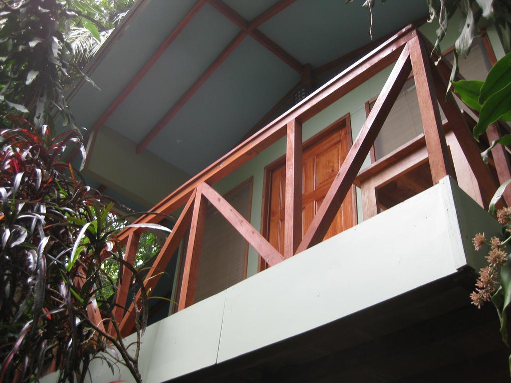 Luz En El Cielo Eco-B&B/Hostel Montezuma Rum bild